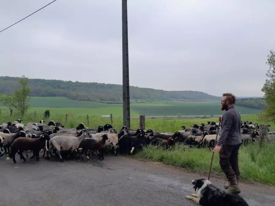 Antoine Place amap aneth besançon