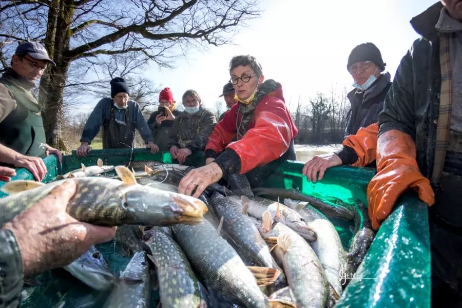 christine roubez amap besançon