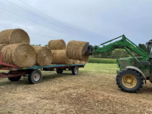 la clé des champs amap besançon