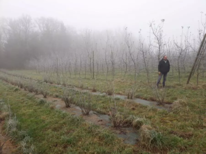 Pierre Chupin amap besancon